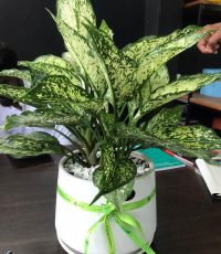 78eb4c11-b928-4c89-8ca1-f0279becc297